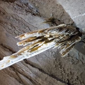 doolin-6