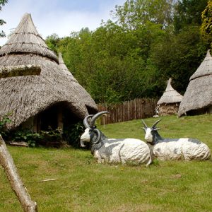 dan-yr-ogof-18
