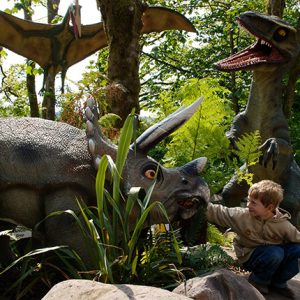 dan-yr-ogof-19