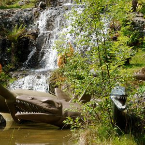 dan-yr-ogof-20
