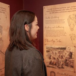 Exhibition---Displays