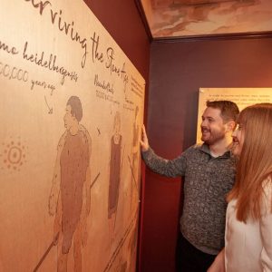Exhibitions-Displays-1