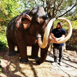 Kents-Cavern-Mammoth