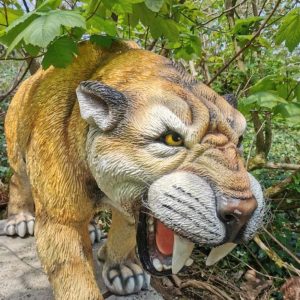 Kents-Cavern-Saber-toothed-Cat