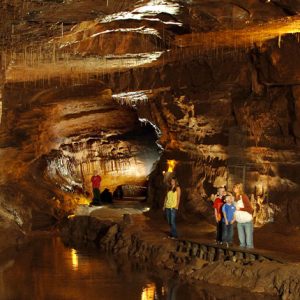 Dan-yr-Ogof-4