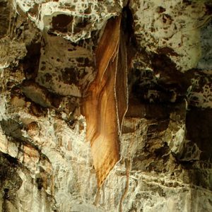 Dan-yr-Ogof-7