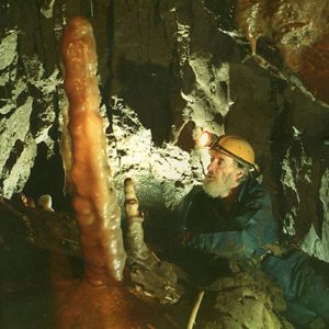 Stump-1