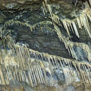 treask-4