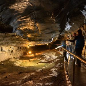 aillwee-cave-3 aillwee-cave-3