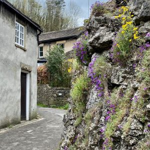 peak-cavern-15 peak-cavern-15